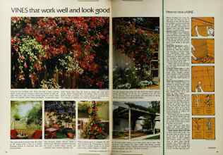 Better Homes & Gardens May 1972 Magazine Article: Page 94