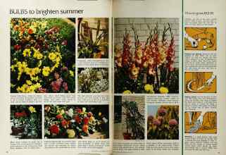 Better Homes & Gardens May 1972 Magazine Article: Page 96