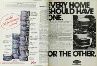 Better Homes & Gardens May 1972 Magazine Article: Page 166