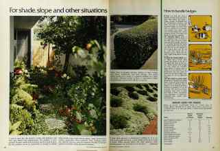 Better Homes & Gardens June 1972 Magazine Article: Page 80