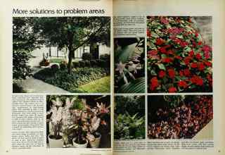 Better Homes & Gardens June 1972 Magazine Article: Page 82