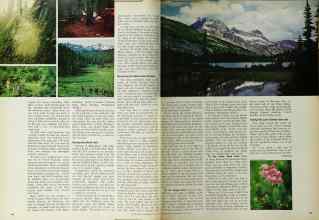 Better Homes & Gardens June 1972 Magazine Article: Page 144