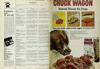 Better Homes & Gardens June 1972 Magazine Article: Page 150