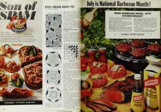 Better Homes & Gardens July 1972 Magazine Article: Page 100