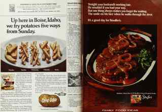 Better Homes & Gardens July 1972 Magazine Article: Page 102