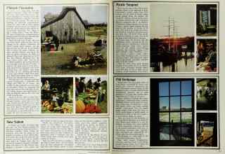 Better Homes & Gardens August 1972 Magazine Article: Page 110