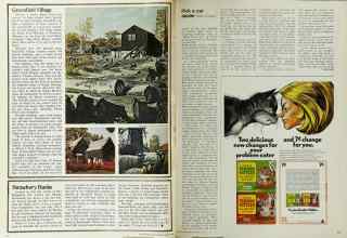Better Homes & Gardens August 1972 Magazine Article: Page 114