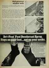 Better Homes & Gardens September 1972 Magazine Article: Well-groomed window wells