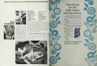 Better Homes & Gardens September 1972 Magazine Article: Page 48