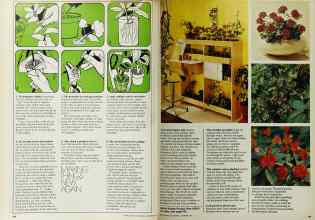 Better Homes & Gardens September 1972 Magazine Article: Page 100