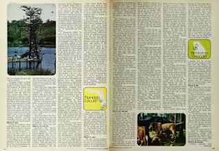 Better Homes & Gardens September 1972 Magazine Article: Page 146