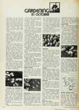 Better Homes & Gardens October 1972 Magazine Article: GARDENING IN OCTOBER