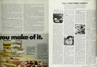 Better Homes & Gardens October 1972 Magazine Article: Page 107