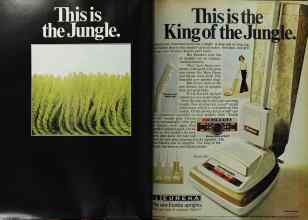 Better Homes & Gardens October 1972 Magazine Article: Page 164