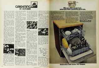 Better Homes & Gardens October 1972 Magazine Article: Page 172