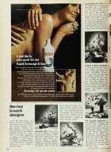 Better Homes & Gardens November 1972 Magazine Article: Berried branch designs