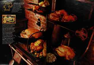 Better Homes & Gardens November 1972 Magazine Article: Page 54