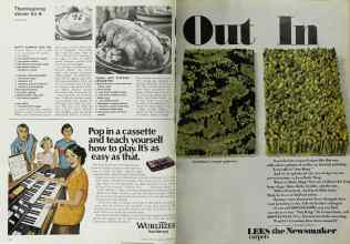 Better Homes & Gardens November 1972 Magazine Article: Page 72