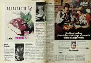 Better Homes & Gardens November 1972 Magazine Article: Page 162