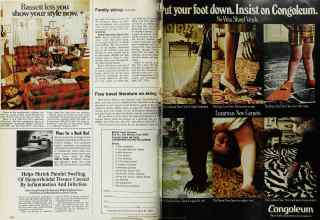 Better Homes & Gardens November 1972 Magazine Article: Page 220