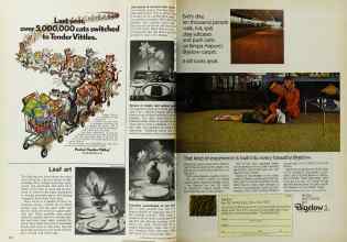 Better Homes & Gardens November 1972 Magazine Article: Page 226