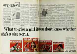 Better Homes & Gardens November 1972 Magazine Article: GARDENING IN NOVEMBER