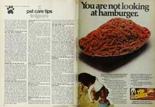 Better Homes & Gardens November 1972 Magazine Article: Page 234