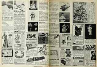 Better Homes & Gardens November 1972 Magazine Article: Page 248