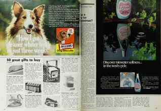 Better Homes & Gardens December 1972 Magazine Article: Page 22