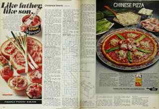 Better Homes & Gardens December 1972 Magazine Article: Page 122