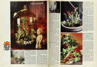 Better Homes & Gardens January 1973 Magazine Article: Page 56