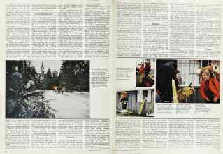 Better Homes & Gardens January 1973 Magazine Article: Page 88