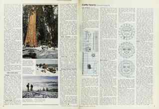 Better Homes & Gardens January 1973 Magazine Article: Page 90