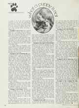 Better Homes & Gardens February 1973 Magazine Article: What a puppy is not