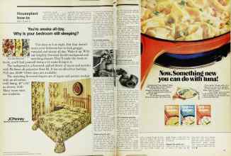 Better Homes & Gardens February 1973 Magazine Article: Page 36