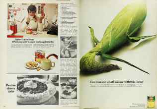 Better Homes & Gardens February 1973 Magazine Article: Page 106