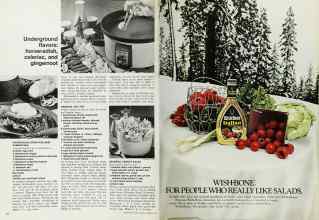 Better Homes & Gardens February 1973 Magazine Article: Page 114