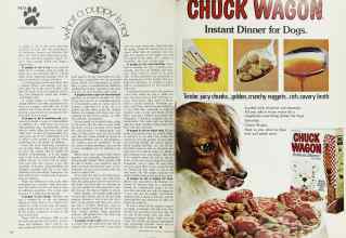 Better Homes & Gardens February 1973 Magazine Article: Page 136