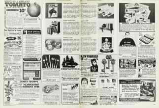 Better Homes & Gardens February 1973 Magazine Article: Page 162