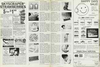 Better Homes & Gardens February 1973 Magazine Article: Page 164
