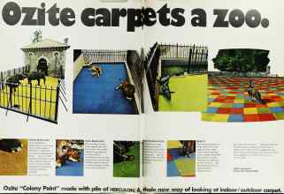 Better Homes & Gardens March 1973 Magazine Article: Page 76