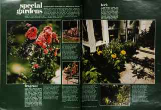 Better Homes & Gardens March 1973 Magazine Article: Special gardens