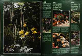 Better Homes & Gardens March 1973 Magazine Article: Page 90