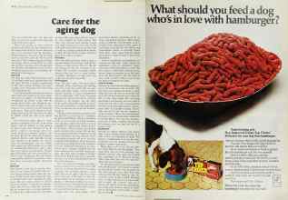 Better Homes & Gardens March 1973 Magazine Article: Page 166