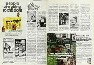 Better Homes & Gardens March 1973 Magazine Article: HOUSEPLANT HOW-TO