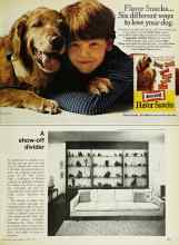 Better Homes & Gardens April 1973 Magazine Article: A show-off divider