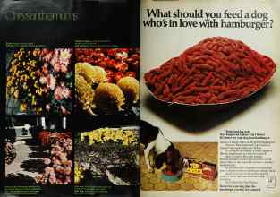 Better Homes & Gardens April 1973 Magazine Article: Page 68