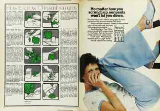 Better Homes & Gardens April 1973 Magazine Article: Page 72