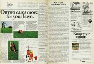 Better Homes & Gardens April 1973 Magazine Article: Page 176