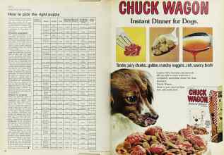 Better Homes & Gardens April 1973 Magazine Article: Page 188